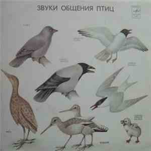 No Artist - Звуки Общения Птиц / Sounds Messaging Birds download flac mp3