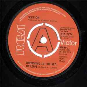 Section  - Drowning In The Sea Of Love download flac mp3