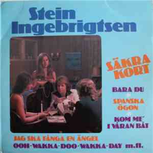 Stein Ingebrigtsen - Säkra Kort download flac mp3