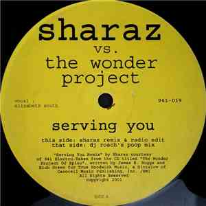 The Wonder Project - Serving You download flac mp3