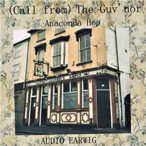 Audio Earwig - (Call From) The Guv'nor download flac mp3