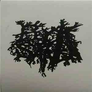 Book Of Sand - Elegy download flac mp3