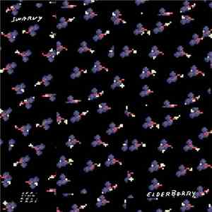 Swarvy - Elderberry download flac mp3