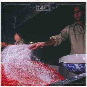 T-Salé - T-Salé download flac mp3