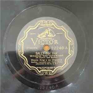 Wayne King Y Su Orquesta - Sally / Si Estoy Soñando download flac mp3