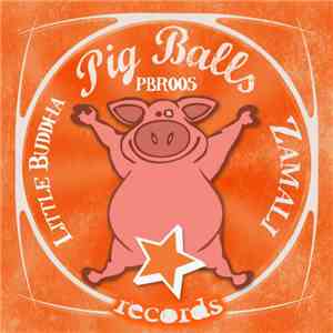Zamali - Little Buddha download flac mp3
