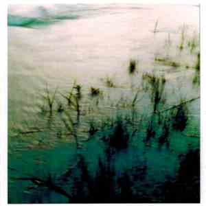 Effed - No Comeback download flac mp3