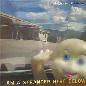 The Dad Horse Experience - I Am A Stranger Here Below download flac mp3