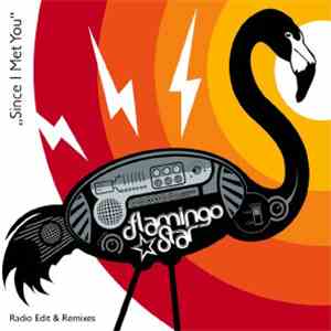 Flamingo Star - Since I Met You download flac mp3