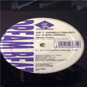 Joe T. Vannelli Project Feat. Alison Limerick - Never Knew download flac mp3