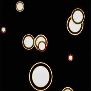 L-Sedition - Usual Reaction (feat. Rona Barbadas) download flac mp3