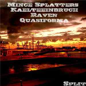 Mince Splatters / Kaelteeinbruch / Raven  / Quasiforma - Split download flac mp3