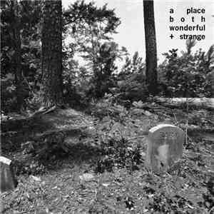 A Place Both Wonderful And Strange - Sorry For Your Loss download flac mp3