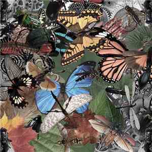 Ad Marginem - Mechanical Insect download flac mp3