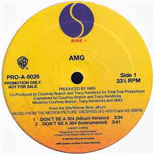 AMG / Lord Finesse - Don't Be A 304 / You Know What I'm About download flac mp3