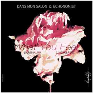 Dans Mon Salon & Echonomist - What You Feel download flac mp3