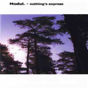 Modul  - Nothing's Express download flac mp3