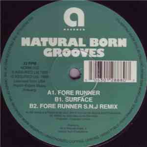 Natural Born Grooves - Fore Runner download flac mp3