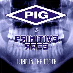 Pig vs. Primitive Race - Long In The Tooth (Joe Haze Mix) flac mp3 download