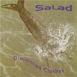 Salad - Diminished Clothes download flac mp3