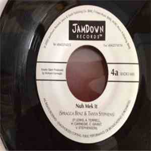 Spragga Benz & Tanya Stephens - Nuh Mek It download flac mp3
