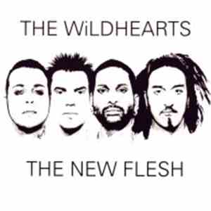 The Wildhearts - The New Flesh download flac mp3