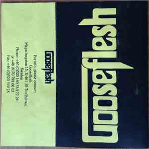 Gooseflesh - Gooseflesh download flac mp3
