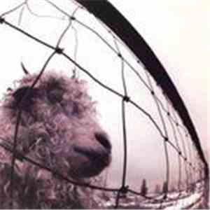 Pearl Jam - Vs. download flac mp3