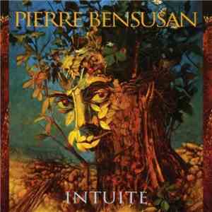 Pierre Bensusan - Intuite download flac mp3