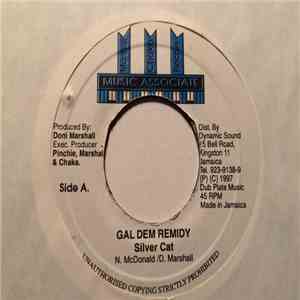 Silver Cat  - Gal Dem Remidy download flac mp3