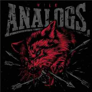 The Analogs - Wilk download flac mp3