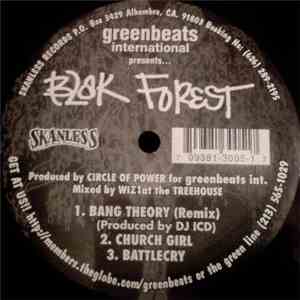 Blak Forest - Bang Theory / Church Girl / Battlecry download flac mp3