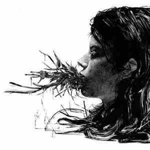 Parenthetical Girls - Entanglements download flac mp3