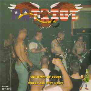 Patriot  / Fatskins - Patriot / Fatskins download flac mp3