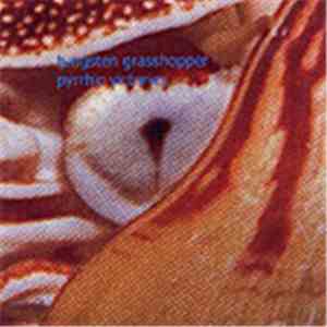 Tungsten Grasshopper - Pyrrhic Victories download flac mp3