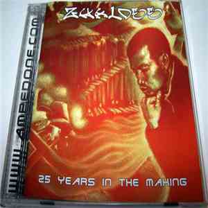Zhaldee - 25 Years In The Making download flac mp3