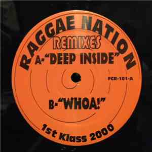 DJ First Class - Raggae Nation Remixes download flac mp3