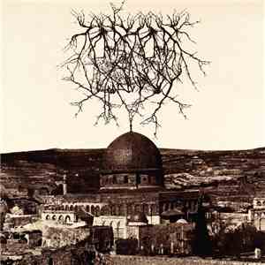 Entropy Created Consciousness - Impressions Of The Morning Star download flac mp3