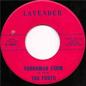 The Furys  - Parchman Farm download flac mp3