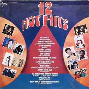 Various - 12 Hot Hits download flac mp3