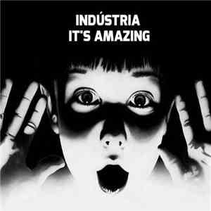 Various - Indústria - It's Amazing ! download flac mp3