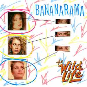 Bananarama - The Wild Life download flac mp3