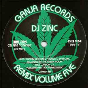 DJ Zinc - Remix Volume Five download flac mp3