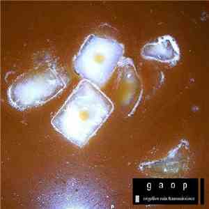 Gaop - Negative Rain Transmissions download flac mp3