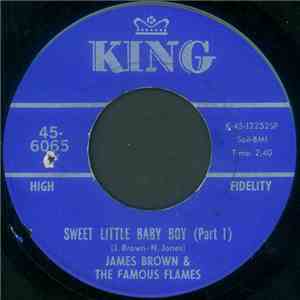 James Brown & The Famous Flames - Sweet Little Baby Boy download flac mp3