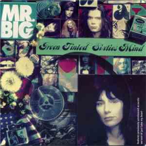 Mr. Big - Green Tinted Sixties Mind download flac mp3