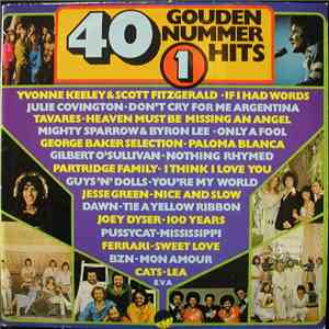 Various - 40 Gouden Nummer 1 Hits download flac mp3