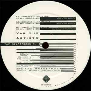Various - The Spacefrogs DJ 2 download flac mp3