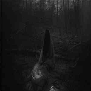 Hiemal  - Solivagant Ghost Of Cimmerian Woods download flac mp3