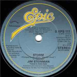 Jim Steinman - Storm download flac mp3